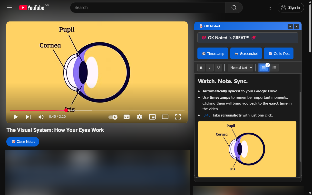 OK Noted extension interface on YouTube showing note-taking and screenshot features